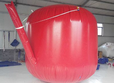 點擊查看詳細信息<br>標題：沼氣袋 閱讀次數(shù)：5967