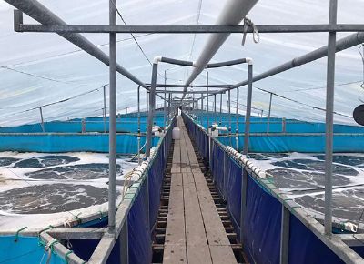 點(diǎn)擊查看詳細(xì)信息<br>標(biāo)題：支架水池 閱讀次數(shù)：3228